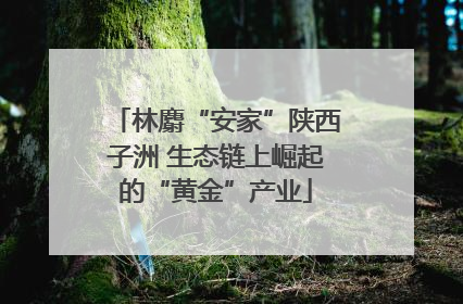 林麝“安家”陕西子洲 生态链上崛起的“黄金”产业