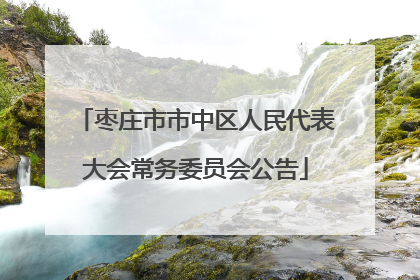 枣庄市市中区人民代表大会常务委员会公告