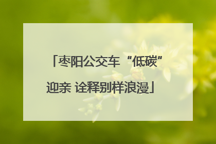 枣阳公交车“低碳”迎亲 诠释别样浪漫