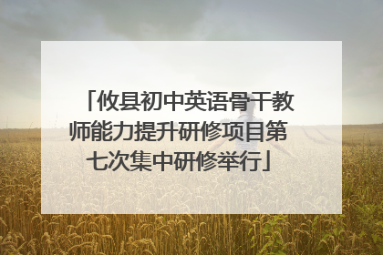 攸县初中英语骨干教师能力提升研修项目第七次集中研修举行