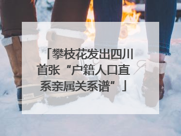 攀枝花发出四川首张“户籍人口直系亲属关系谱”