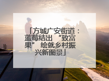 方城广安街道：蓝莓结出 “致富果” 绘就乡村振兴新图景