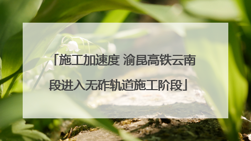 施工加速度 渝昆高铁云南段进入无砟轨道施工阶段