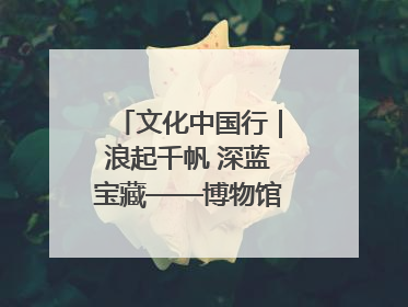 文化中国行｜浪起千帆 深蓝宝藏——博物馆里的海丝遗珍