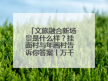 文旅融合新场景是什么样？挂面村与年画村告诉你答案丨万千气象看四川