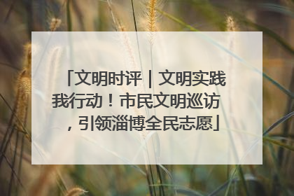 文明时评｜文明实践我行动！市民文明巡访，引领淄博全民志愿