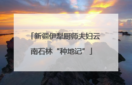 新疆伊犁厨师夫妇云南石林“种地记”