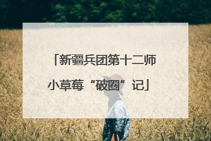 新疆兵团第十二师小草莓“破圈”记