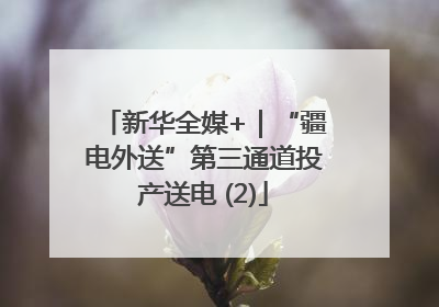 新华全媒+｜“疆电外送”第三通道投产送电 (2)