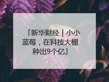 新华财经｜小小蓝莓，在科技大棚种出9个亿
