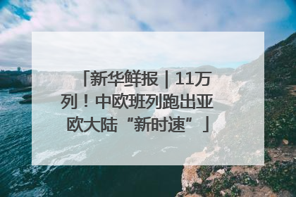 新华鲜报｜11万列！中欧班列跑出亚欧大陆“新时速”