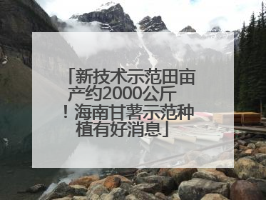 新技术示范田亩产约2000公斤！海南甘薯示范种植有好消息