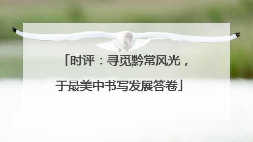 时评：寻觅黔常风光，于最美中书写发展答卷