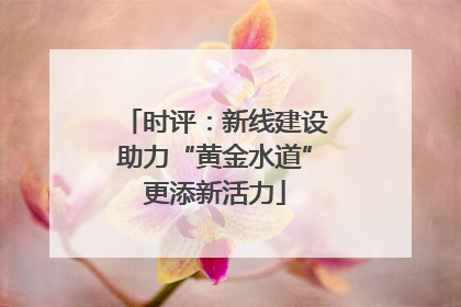 时评：新线建设助力“黄金水道”更添新活力