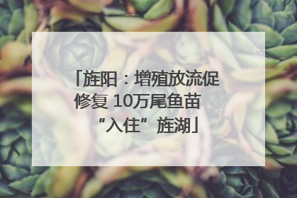旌阳：增殖放流促修复 10万尾鱼苗“入住”旌湖