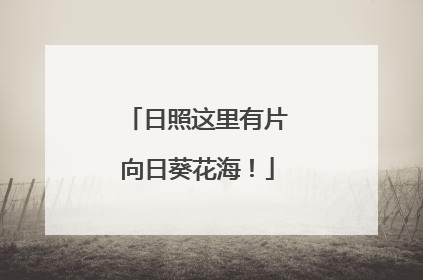 日照这里有片向日葵花海！