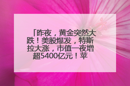 昨夜，黄金突然大跌！美股爆发，特斯拉大涨，市值一夜增超5400亿元！苹果传来大消息