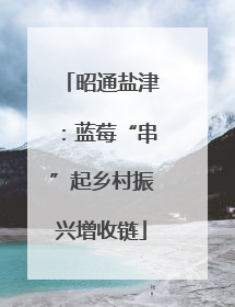 昭通盐津：蓝莓“串”起乡村振兴增收链