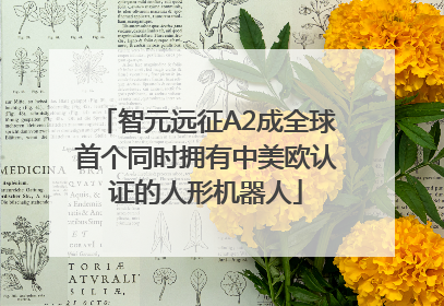 智元远征A2成全球首个同时拥有中美欧认证的人形机器人