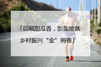 晨曦甜瓜香，彭集绘就乡村振兴“金”画卷