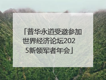 普华永道受邀参加世界经济论坛2025新领军者年会