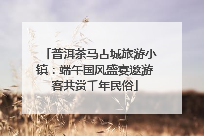 普洱茶马古城旅游小镇：端午国风盛宴邀游客共赏千年民俗