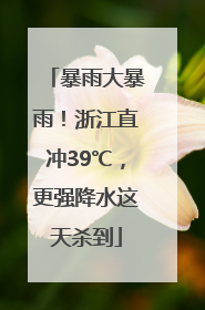 暴雨大暴雨！浙江直冲39℃，更强降水这天杀到