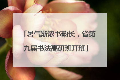 暑气渐浓书韵长，省第九届书法高研班开班