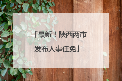 最新！陕西两市发布人事任免