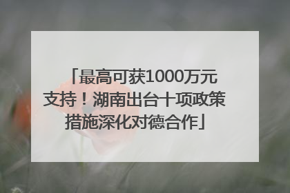 最高可获1000万元支持！湖南出台十项政策措施深化对德合作