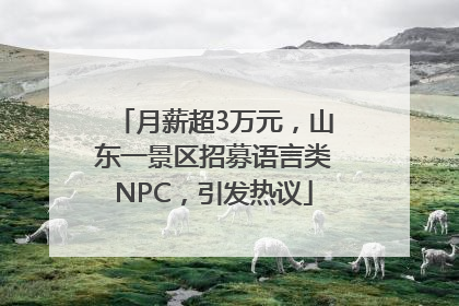 月薪超3万元，山东一景区招募语言类NPC，引发热议