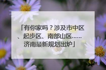 有你家吗？涉及市中区、起步区、南部山区……济南最新规划出炉