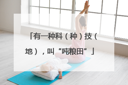 有一种科（种）技（地），叫“吨粮田”