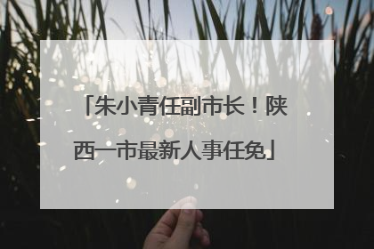 朱小青任副市长！陕西一市最新人事任免