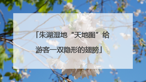 朱湖湿地“天地图”给游客一双隐形的翅膀