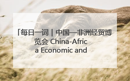 每日一词｜中国—非洲经贸博览会 China-Africa Economic and Trade Expo