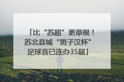 比“苏超”更草根！苏北县城“男子汉杯”足球赛已连办35届
