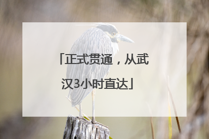 正式贯通，从武汉3小时直达