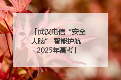 武汉电信“安全大脑” 智能护航2025年高考