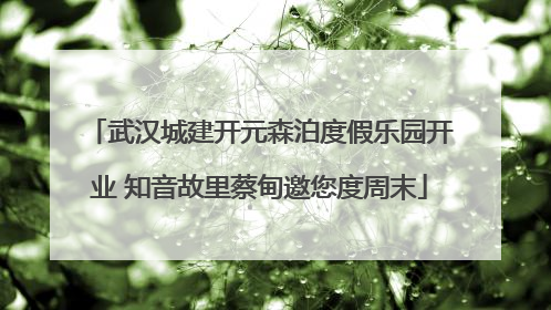 武汉城建开元森泊度假乐园开业 知音故里蔡甸邀您度周末