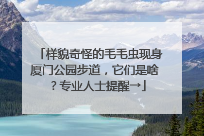 样貌奇怪的毛毛虫现身厦门公园步道，它们是啥？专业人士提醒→