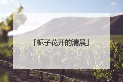 栀子花开的清晨