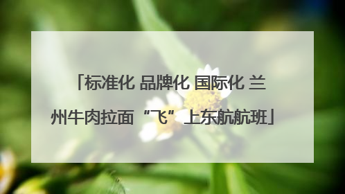 标准化 品牌化 国际化 兰州牛肉拉面“飞”上东航航班