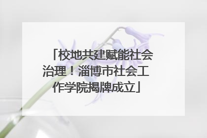 校地共建赋能社会治理！淄博市社会工作学院揭牌成立