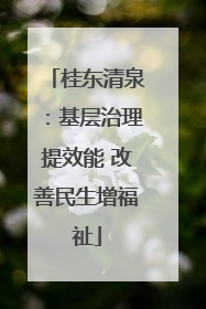 桂东清泉：基层治理提效能 改善民生增福祉