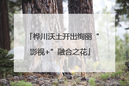 桦川沃土开出绚丽“影视+”融合之花