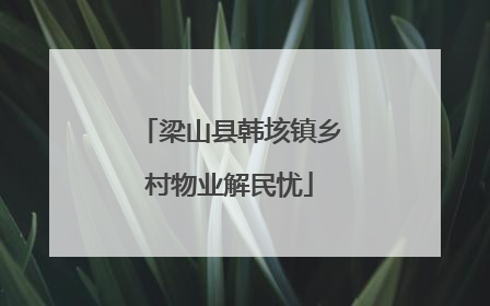 梁山县韩垓镇乡村物业解民忧