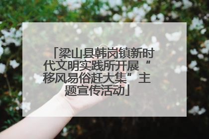 梁山县韩岗镇新时代文明实践所开展“移风易俗赶大集”主题宣传活动