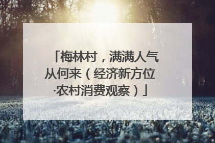 梅林村，满满人气从何来（经济新方位·农村消费观察）