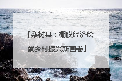 梨树县：棚膜经济绘就乡村振兴新画卷